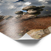 Ladybird Lake Kayak - Skyline - Austin Texas Fotodruck (Ecke)