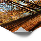 Ladybird Lake Running Trail - Austin, Texas Poster (Ecke)