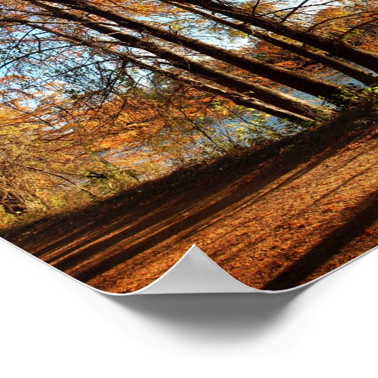 Ladybird Lake Running Trail - Austin, Texas Poster (Ecke)