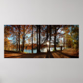 Ladybird Lake Running Trail - Austin, Texas Poster (Vorne)