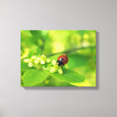 Ladybird Leinwanddruck (Vorderseite)