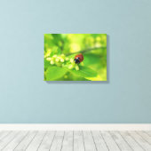 Ladybird Leinwanddruck (Insitu (Holzboden))