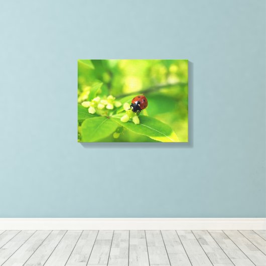 Ladybird Leinwanddruck (Insitu (Holzboden))