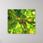 Ladybird Leinwanddruck (Vorderseite)