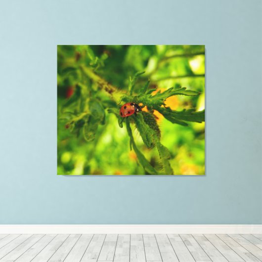 Ladybird Leinwanddruck (Insitu (Holzboden))