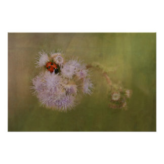 Ladybird on Dandelion Nah Up Fotografy Art Poster