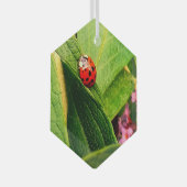 Ladybird Ornament Aus Glas (Vorderseite Rechts)