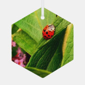 Ladybird Ornament Aus Glas (Rückseite)