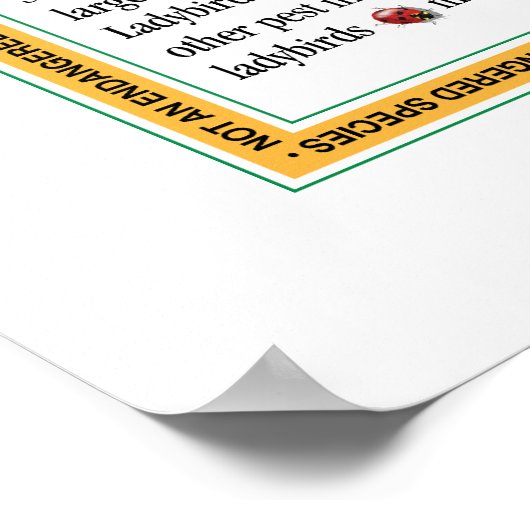 Ladybird Poster (Ecke)