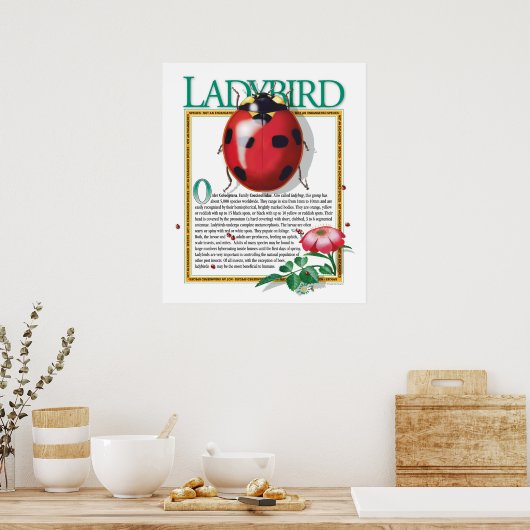 Ladybird Poster (Küche)