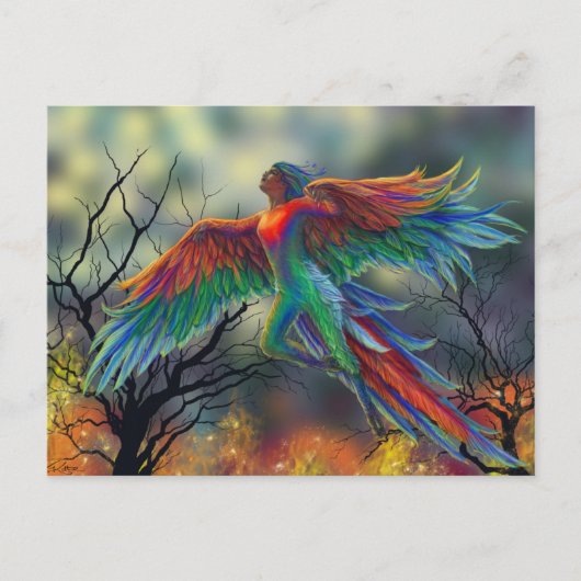 Ladybird Postkarte (Vorderseite)