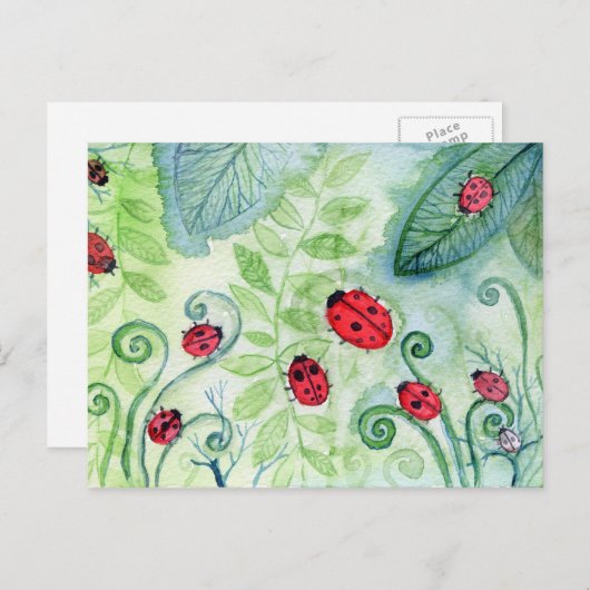 Ladybird Postkarte (Vorne/Hinten)