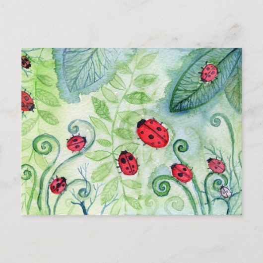 Ladybird Postkarte (Vorderseite)