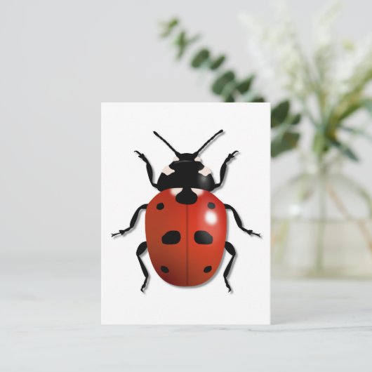 Ladybird Postkarte (Stehend Vorderseite)