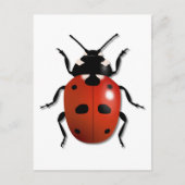 Ladybird Postkarte (Vorderseite)