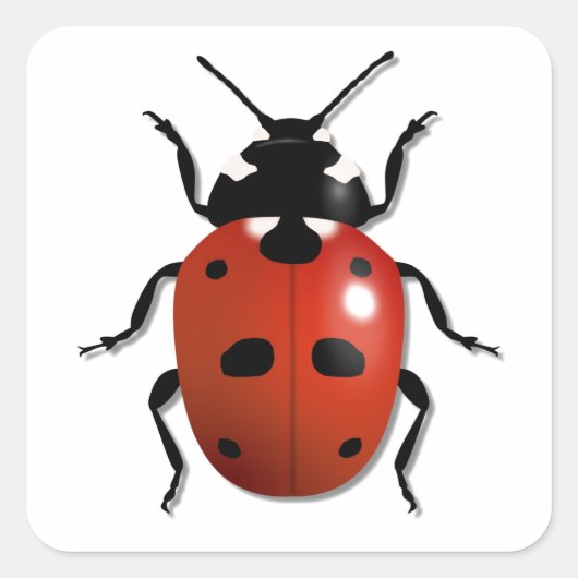 Ladybird Quadratischer Aufkleber (Vorderseite)