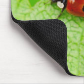 Ladybird walking across a leaf mousepad (Ecke)