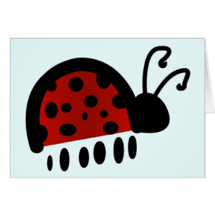 Ladybug