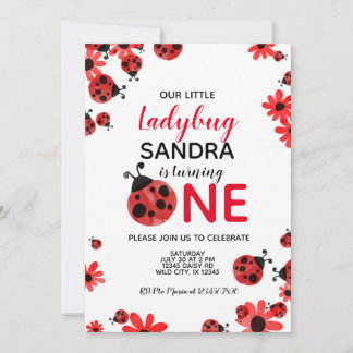 Ladybug 1. Baby Girl Geburtstagseinladung Einladung