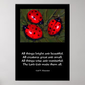 LADYBUG ALLE DINGE BRIGHT POSTER (Vorne)