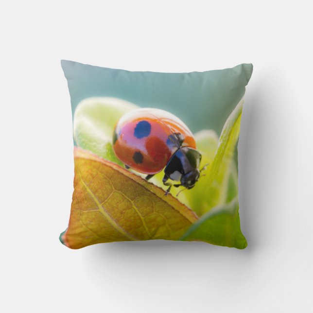 Ladybug am Leaf Kissen (Vorderseite)