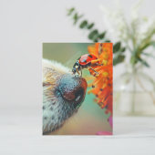 Ladybug an der Nase eines Hundes, Postüberqueren Postkarte (Stehend Vorderseite)