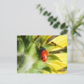 Ladybug & Ant Postkarte (Stehend Vorderseite)