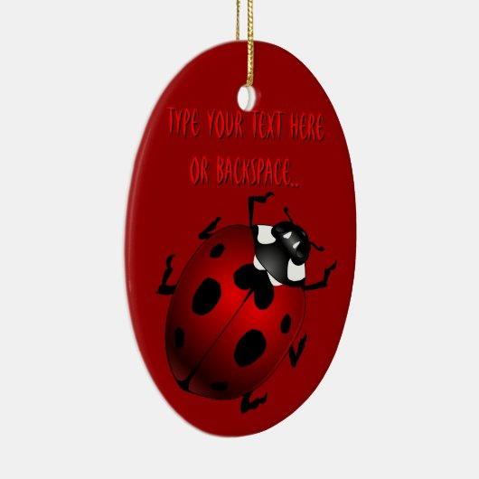 Ladybug Art Ornament Bug Keepsake Ladybug Gifts (Rechts)