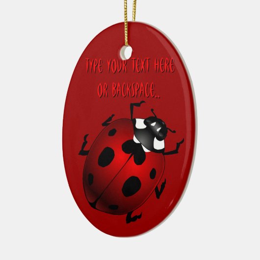Ladybug Art Ornament Bug Keepsake Ladybug Gifts (Links)