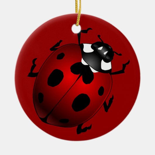 Ladybug Art Ornament Bug Keepsake Ladybug Gifts (Vorne)