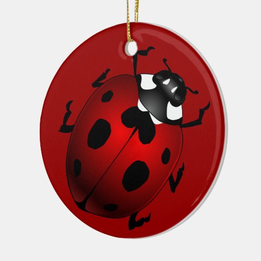 Ladybug Art Ornament Bug Keepsake Ladybug Gifts (Links)