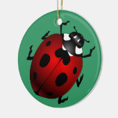 Ladybug Art Ornament Bug Keepsake Ladybug Gifts (Links)