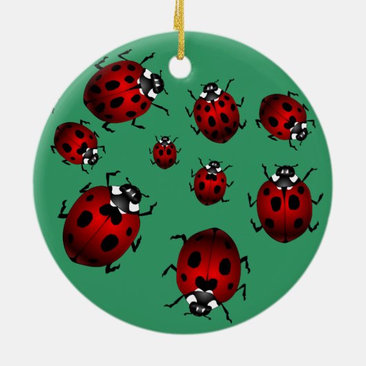 Ladybug Art Ornament Bug Keepsake Ladybug Gifts (Hinten)