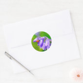 Ladybug auf Bluebells Stickers (Umschlag)