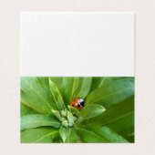 Ladybug auf Blume (Außenseite Aufgefaltet)