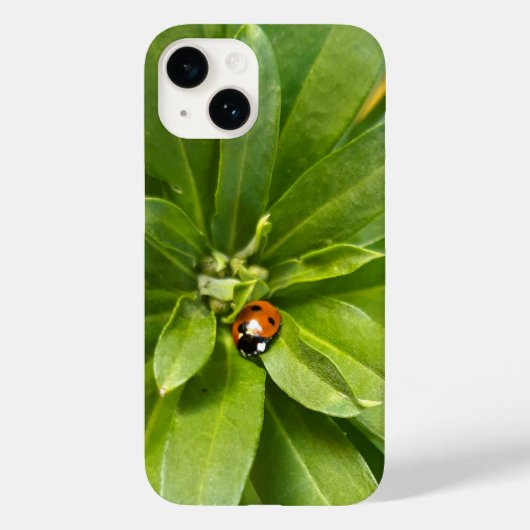 Ladybug auf Blume Case-Mate iPhone Hülle (Rückseite)