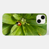 Ladybug auf Blume Case-Mate iPhone Hülle (Rückseite (Horizontal))