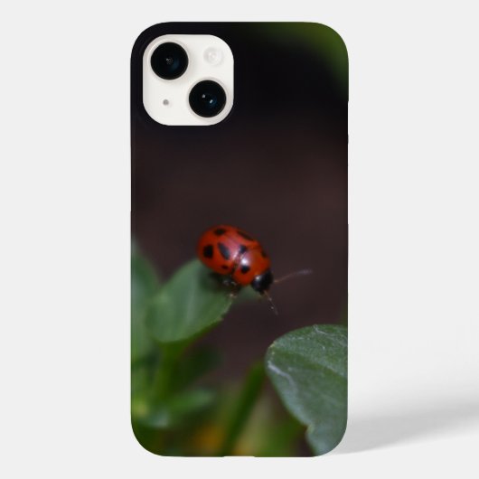 Ladybug auf Blume Case-Mate iPhone Hülle (Rückseite)