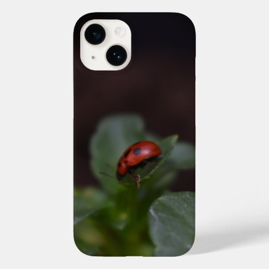 Ladybug auf Blume Case-Mate iPhone Hülle (Rückseite)