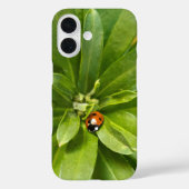 Ladybug auf Blume Case-Mate iPhone Hülle (Rückseite)