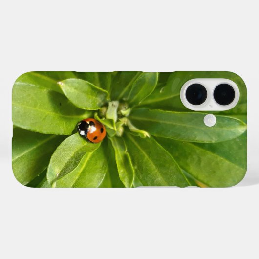Ladybug auf Blume Case-Mate iPhone Hülle (Rückseite (Horizontal))