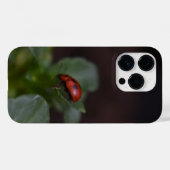 Ladybug auf Blume Case-Mate iPhone Hülle (Rückseite (Horizontal))