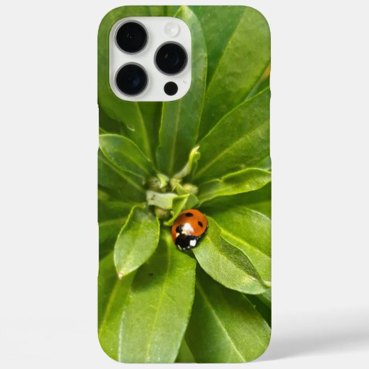 Ladybug auf Blume Case-Mate iPhone Hülle (Rückseite)