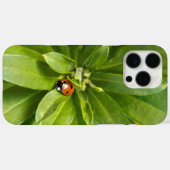 Ladybug auf Blume Case-Mate iPhone Hülle (Rückseite (Horizontal))