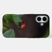Ladybug auf Blume Case-Mate iPhone Hülle (Rückseite (Horizontal))