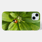 Ladybug auf Blume Case-Mate iPhone Hülle (Rückseite (Horizontal))