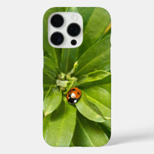Ladybug auf Blume iPhone 16 Pro Hülle