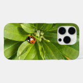 Ladybug auf Blume Case-Mate iPhone Hülle (Rückseite (Horizontal))