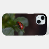 Ladybug auf Blume Case-Mate iPhone Hülle (Rückseite (Horizontal))
