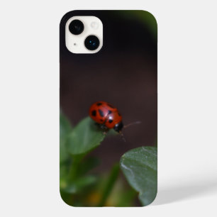 Ladybug auf Blume Case-Mate iPhone 14 Plus Hülle
